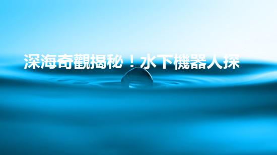深海奇觀揭秘！水下機器人探索未知世界，你敢跟隨嗎？